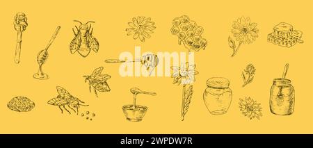 Disegnare il set di prodotti a base di miele e fiori, api su sfondo giallo. L'illustrazione vettoriale può essere utilizzata per avvolgere carta, tessuto, etichette alimentari, stampa per org Illustrazione Vettoriale