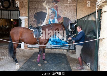Las Caballerizas Reales de Cordoba (le scuderie reali di Cordoba) nella storica città di Cordoba in Andalusia, Spagna meridionale Foto Stock