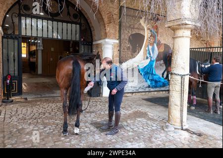 Las Caballerizas Reales de Cordoba (le scuderie reali di Cordoba) nella storica città di Cordoba in Andalusia, Spagna meridionale Foto Stock