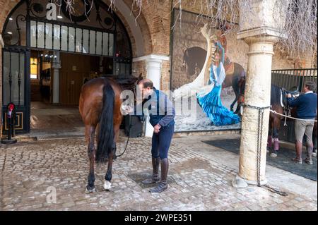 Las Caballerizas Reales de Cordoba (le scuderie reali di Cordoba) nella storica città di Cordoba in Andalusia, Spagna meridionale Foto Stock