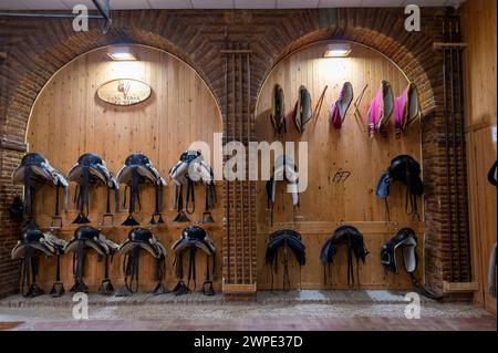 Las Caballerizas Reales de Cordoba (le scuderie reali di Cordoba) nella storica città di Cordoba in Andalusia, Spagna meridionale Foto Stock