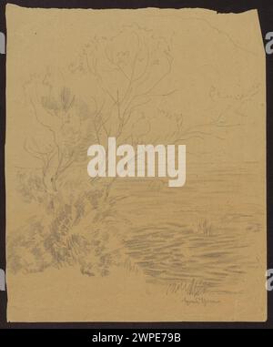 Dipinto di Hans Thoma creato tra il 1890-1900 che mostra alberi che crescono sull'acqua, illustrando paesaggi naturali e riflessi. Foto Stock