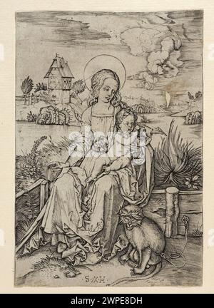 Madonna con i figli SH Master (FL. CA 1498), Dürer, Albrecht (1471-1528); dopo il 1498 (1498-00-00-00-1499-00-00-00); Foto Stock