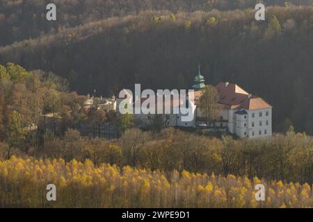 Castello storico di Pieskowa Skala vicino a Cracovia in Polonia. Vista aerea in estate. Vista aerea del castello di Pieskowa Skala, del parco nazionale di ojcow, Polonia. Foto Stock