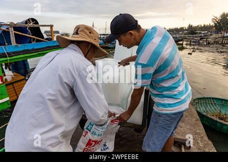 Lavoratore con blocchi di ghiaccio al mercato del pesce di Hoi An Foto Stock