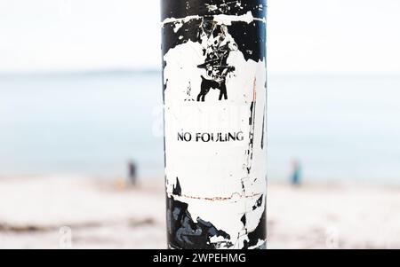 Avviso di sporcizia per i cani sul Post indossato e deturpato con l'immagine di un cane con sfondo sfocato della spiaggia con due camminatori Foto Stock