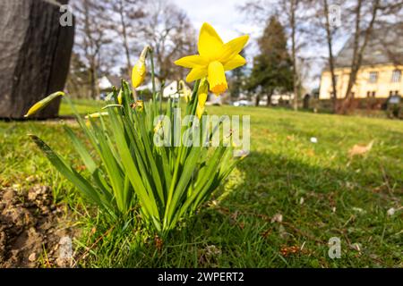 Frühling in Assia Blick in den Rushmoorpark bei milden Temperaturen und einem Wechsel von Wolken und Sonne., Oberursel Hessen Deutschland *** Primavera in Assia Vista del Rushmoorpark con temperature miti e alternanza di nuvole e sole, Oberursel Hesse Germania Foto Stock