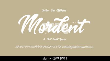 Alfabeto vettoriale disegnato a mano. Pennello lettere di pittura. Tipografia decorativa. Illustrazione Vettoriale