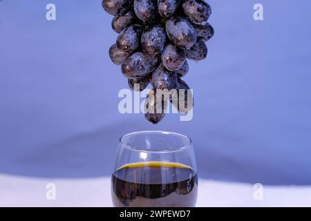 Bicchiere di gustoso vino scuro e mazzo di uva nera isolata su sfondo viola, Closup Foto Stock