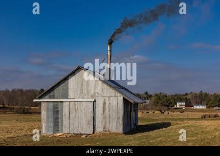 sugarhouse cotta a legna che produce sciroppo d'acero in una fattoria Amish nel Michigan, Stati Uniti [Nessuna pubblicazione di proprietà; solo licenza editoriale] Foto Stock