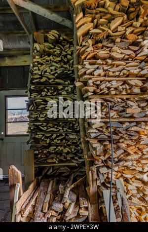 Slabwood per il rifornimento dell'evaporatore in sugarhouse per la trasformazione di sap d'acero in sciroppo in una fattoria Amish in Michigan, USA [Nessuna pubblicazione di proprietà; licenze editoriali Foto Stock