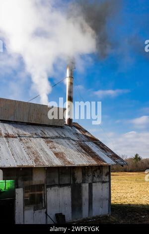 sugarhouse cotta a legna che produce sciroppo d'acero in una fattoria Amish nel Michigan, Stati Uniti [Nessuna pubblicazione di proprietà; solo licenza editoriale] Foto Stock