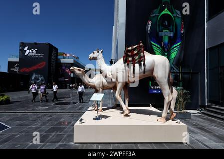 Jeddah, Arabia Saudita. 7 marzo 2024. Atmosfera da paddock. Formula 1 World Championship, Rd 2, Gran Premio dell'Arabia Saudita, giovedì 7 marzo 2024. Jeddah, Arabia Saudita. Crediti: James Moy/Alamy Live News Foto Stock