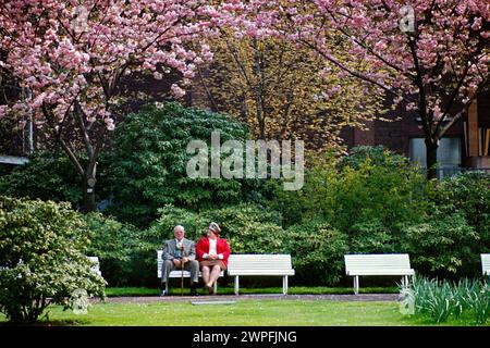 Coppia anziana seduta su una panchina sotto la fioritura primaverile nel Rhinepark nel 1980, Colonia, Renania settentrionale-Vestfalia, Germania Foto Stock