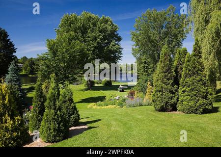 Prato verde curato con Thuja rifilato - Cedro e alberi decidui nei bordi del giardino sul retro in tarda primavera. Foto Stock