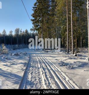 Strada forestale ricoperta di neve con piste innevate Foto Stock