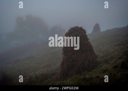 Pagliaio in un paesaggio nebbioso, Orabidea, Navarra, Spagna. Ottobre 2021. Foto Stock