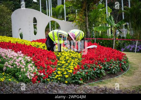 GUANGZHOU, CINA - 22 febbraio 2024: I fiori possono essere visti fiorire durante tutto l'anno a Guangzhou, che ha dato origine al suo soprannome "città di f Foto Stock