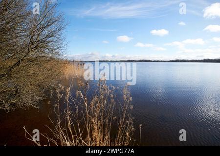 litorale di lough neagh contea di oxford armagh irlanda del nord regno unito Foto Stock