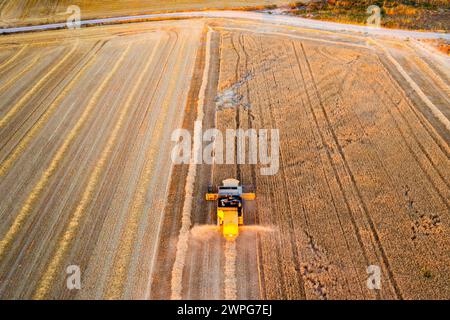 Vista aerea della mietitrebbia per la raccolta del grano. Foto Stock