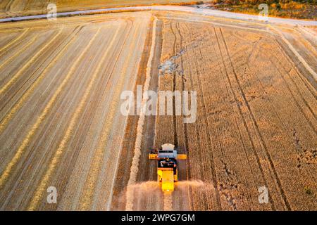 Vista aerea della mietitrebbia per la raccolta del grano. Foto Stock