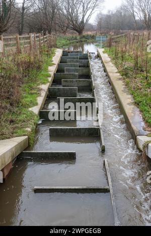 Walsham Lock Fish pass on the River Wey Navigation, Ripley, Surrey, Inghilterra, Regno Unito, costruito per consentire a specie di pesci come le anguille di bypassare la diga Foto Stock