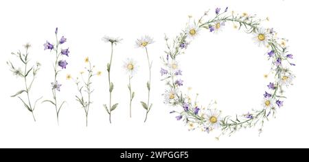 Set di corona di fiori gialli e bianchi e fiori della foresta prato. Illustrazione della pittura a mano ad acquerello su isolato. Circlet di fiori con Foto Stock