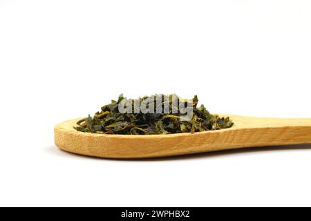 Tè verde con erbe aromatiche in cucchiai di legno su sfondo bianco. Foto Stock