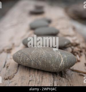 Line of Smooth Rocks su Driftwood sulla Olympic Coast a Washington Foto Stock