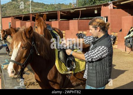 Ritratto di un cavaliere adulto sicuro regolazione sella di cavallo prima di cavalcare in country club Foto Stock