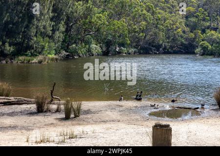 Royal National Park, il primo parco nazionale dell'Australia, con il Port Hacking Rove vicino al villaggio di Audley, Sydney, NSW, Australia Foto Stock