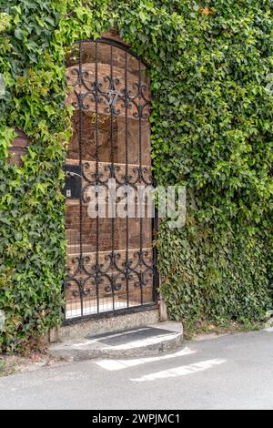 Arco porta del castello con edera. L'arco della porta del castello è coperto di edera verde. L'ingresso della casa è con barre di ferro e una parete di mattoni coperti Foto Stock