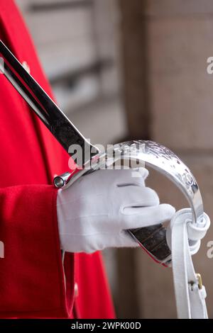 Regno Unito, Londra, dettaglio di spada e mano di una Guardia reale della cavalleria domestica. Foto Stock