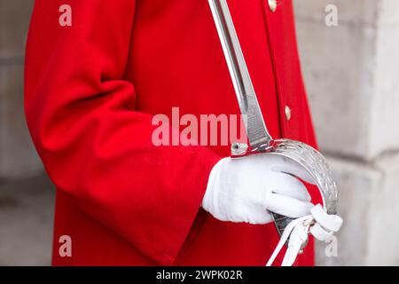 Regno Unito, Londra, dettaglio di spada e mano di una Guardia reale della cavalleria domestica. Foto Stock