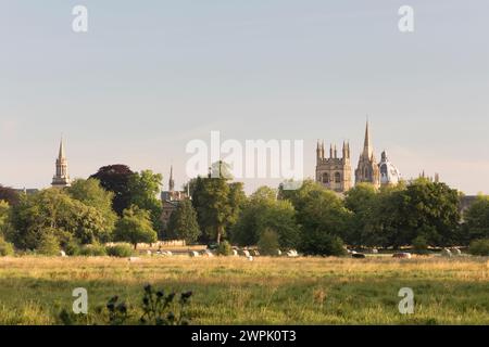 Regno Unito, Oxford, Skyline da Christ Church Meadow. Tra cui la torre del Merton College, la guglia della Chiesa di Santa Maria Vergine e il Foto Stock