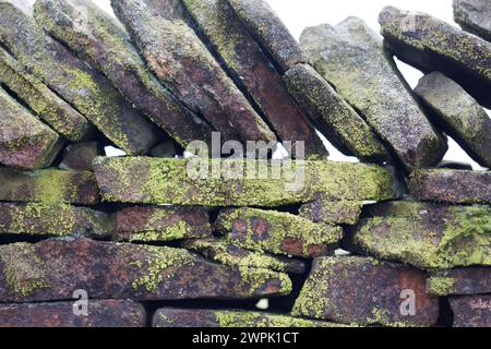 Regno Unito, Derbyshire, Dovedale, parete a secco coperta di muschio. Foto Stock
