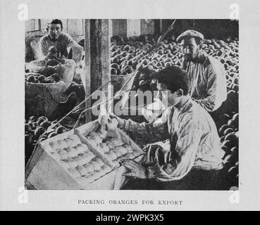 Confezionare arance di Jaffa per esportare la Palestina, la rinascita di un antico popolo, di Albert Montefiore Hyamson Foto Stock