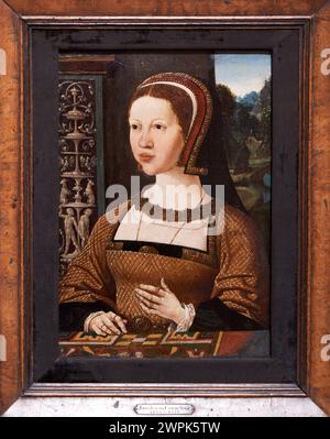 Jacob Cornelisz. Van Oostsanen (Oostzaan, 1472/1477-Ámsterdam, 1533), Ritratto di una donna, forse Elisabetta di Danimarca, Hacia 1524 Foto Stock