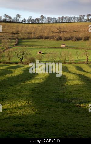 10/12/14 il sole mattutino getta magiche ombre sui pascoli delle Derbyshire Dales vicino a Tissington nel Peak District. La scena ma Foto Stock