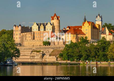 Castello di Bernburg, Bernburg, Valle Saaletal Saale, Sassonia-Anhalt, Germania, Europa Copyright: MarkusxLange 1160-5354 Foto Stock