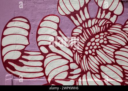 Graffiti su edificio a Woodstock , città del Capo - Sud Africa Foto Stock