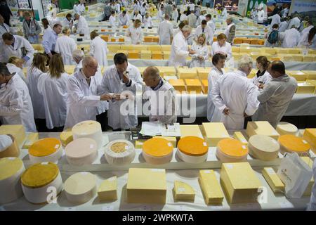 28/07/15 i giudici cercano il formaggio vincitore tra le 4592 partecipazioni agli International Cheese Awards, al Nantwich Show nel Cheshire oggi. Tutte le attrezzature Foto Stock