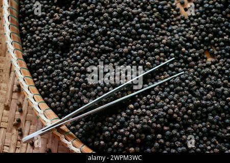 Famoso peperone nero Kampot, uno dei migliori peperoni al mondo, Pepper Farm, KEP, Cambogia, Indocina, sud-est asiatico, Asia Copyright: Godong 809-89 Foto Stock