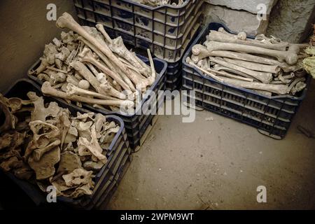 Ossa umane provenienti da antiche tombe in Egitto Foto Stock