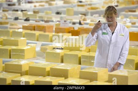 26/06/16 Sarah Hinchliffe, tecnologo del settore lattiero-caseario, assaggia uno dei formaggi. Ci vogliono più di 250 giudici per farsi strada attraverso i 5.000 Plus ch Foto Stock