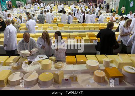 26/06/16 ci vogliono più di 250 giudici per farsi strada attraverso i 5.000 formaggi presentati all'annuale International Cheese Awards, essendo Foto Stock