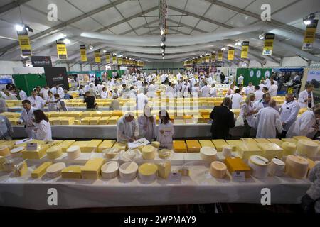 26/06/16 ci vogliono più di 250 giudici per farsi strada attraverso i 5.000 formaggi presentati all'annuale International Cheese Awards, essendo Foto Stock