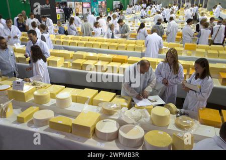 26/06/16 ci vogliono più di 250 giudici per farsi strada attraverso i 5.000 formaggi presentati all'annuale International Cheese Awards, essendo Foto Stock