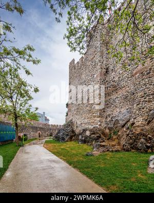 Scatto mattutino di Anadolu Hisari, o castello anatolico, una fortezza ottomana medievale del XIII secolo costruita dal sultano Bayezid i, sul lato anatolico del Bosforo nel distretto di Beykoz, Istanbul, Turchia Foto Stock