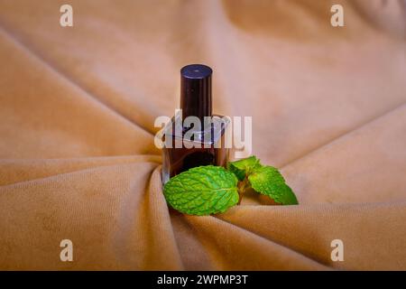 Vista della bottiglia con olio essenziale di menta o acqua tonica su sfondo marrone Foto Stock